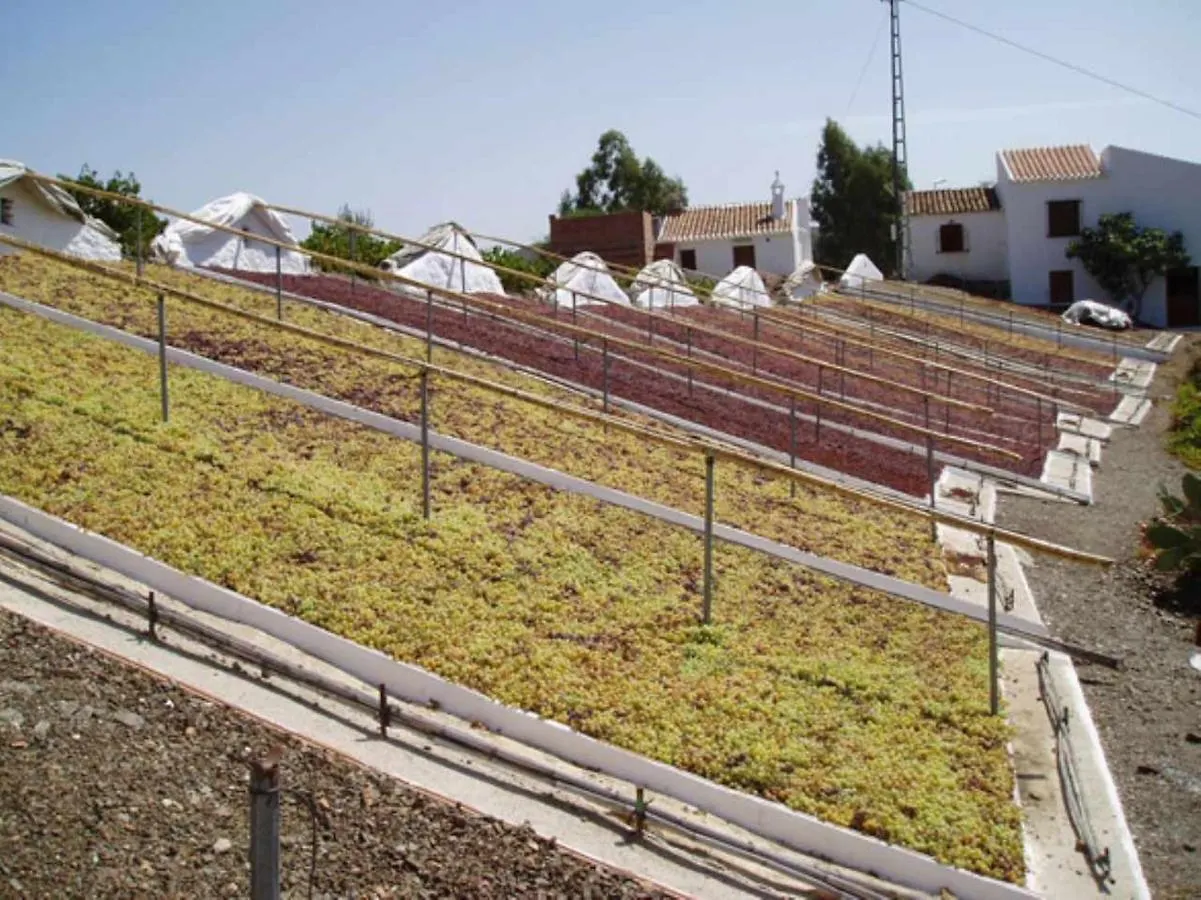 Casa Mirador Las Claras Con Piscina Privada Jardin Iznate 0*,